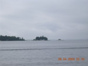 DSCN0081