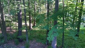 20160625_080826