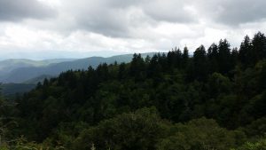 20160803_132247[1]