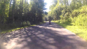 vlcsnap-2016-08-03-08h13m51s488