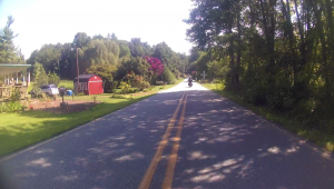 vlcsnap-2016-08-03-08h15m17s147
